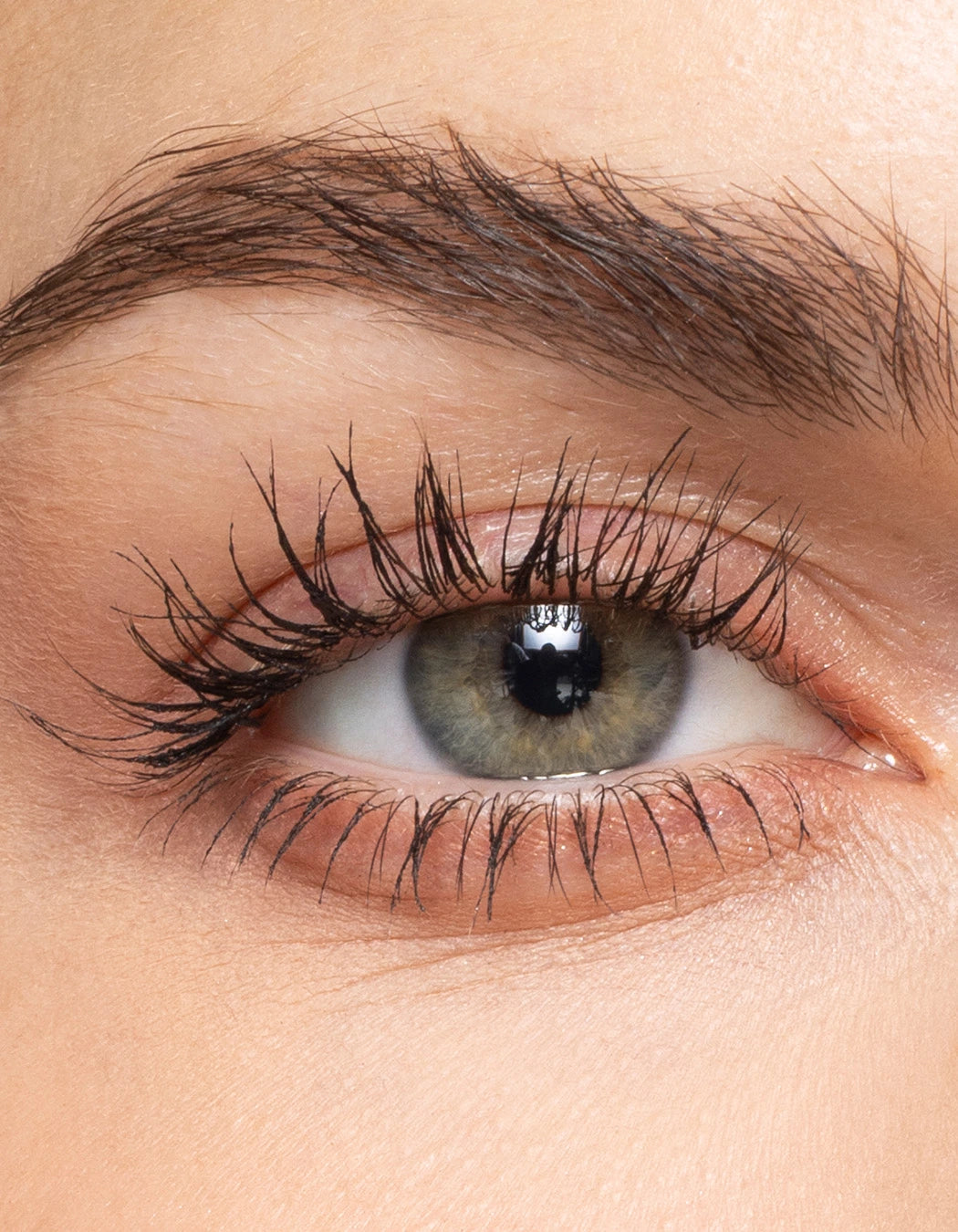 zoomed in image of an eye with eyebrow and lashes