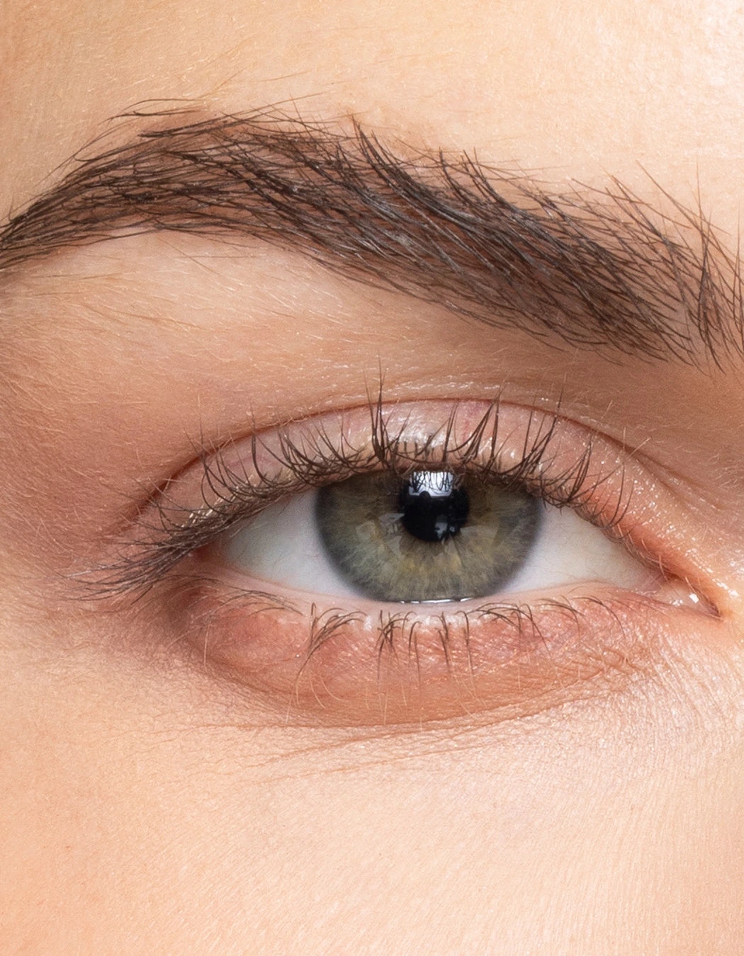 zoomed in image of an eye with eyebrow and lashes