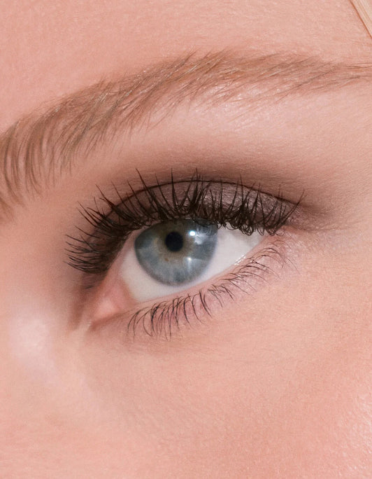 Eye Defining Collection